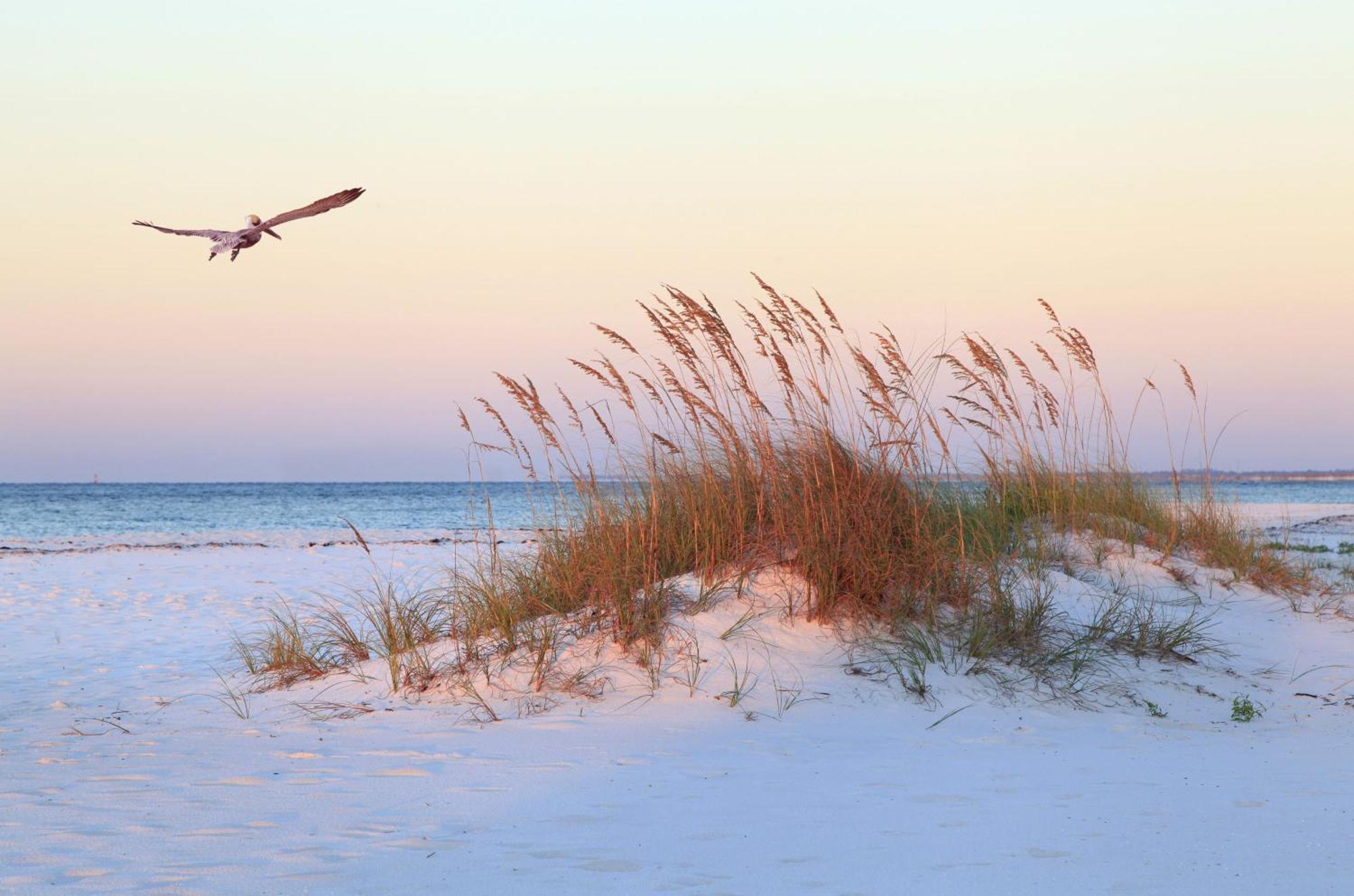 11 Dinghy Villa Hilton Head Island Dış mekan fotoğraf