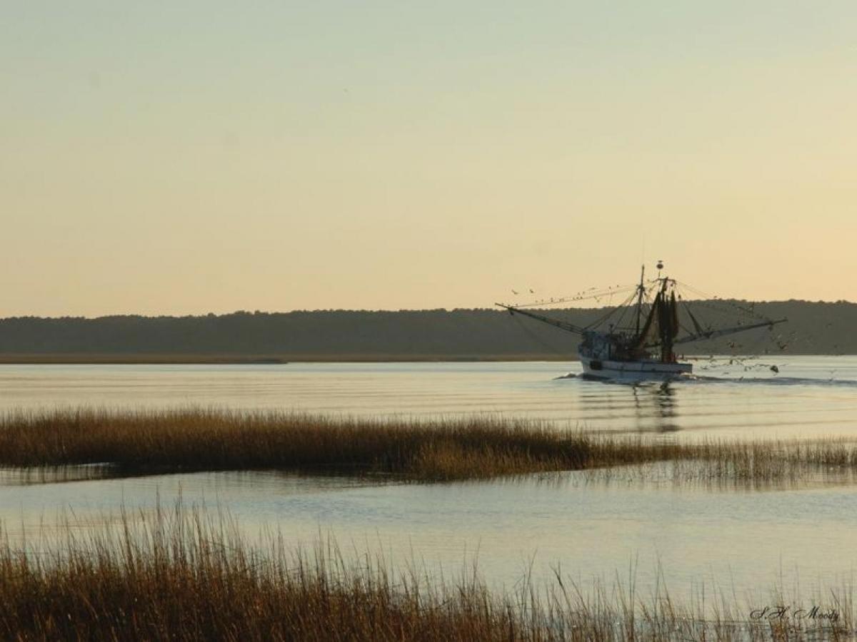 11 Dinghy Villa Hilton Head Island Dış mekan fotoğraf